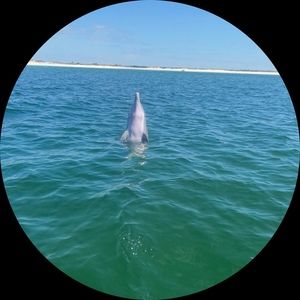 Meet your Posher, Steph